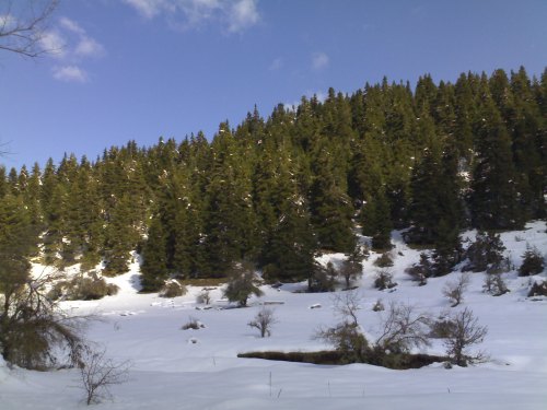    Χειμωνιάτικο τοπίο πριν την Ελάτη