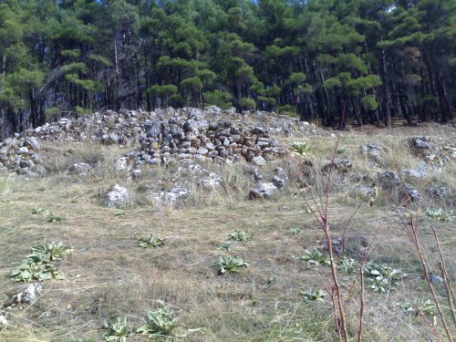 αλώνι στην Βλαχ�ρνα