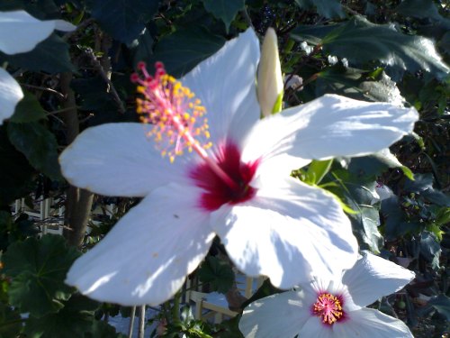 ceb1cebdceb8cebfcf82