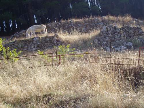 ceb3ceb1ceb9ceb4cebfcf8dcf81ceb9