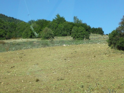 Εκκαθαρίσεις εκτάσεων διπλα στο δάσος